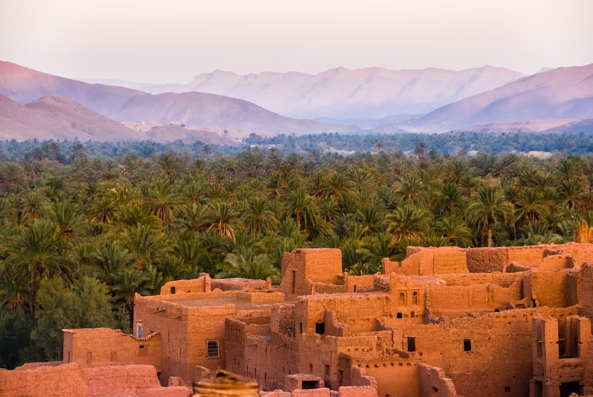 Marrakech — médina et palmiers
