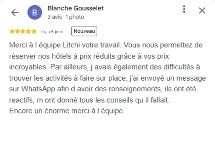 Avis Google Litchi Travel