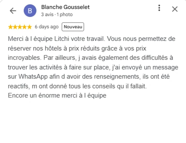 Litchi Travel Google review